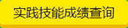 2015年执业医师考试-实践技能成绩查询